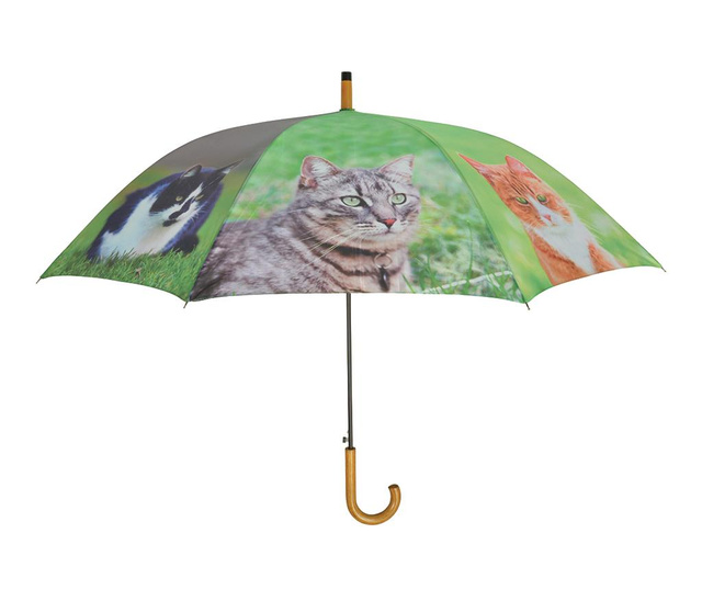 Dáždnik Cats